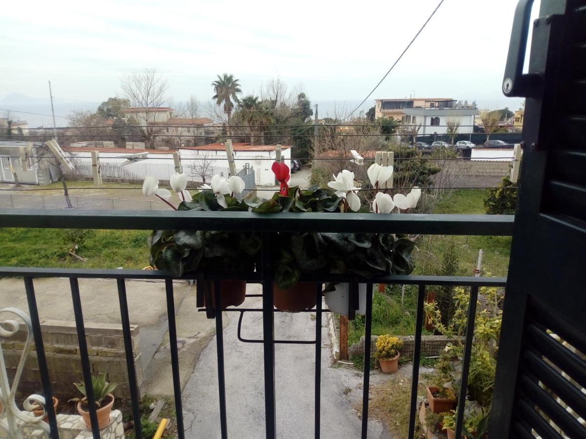 Casa Vacanze Da Rosy 埃尔科拉诺 外观 照片